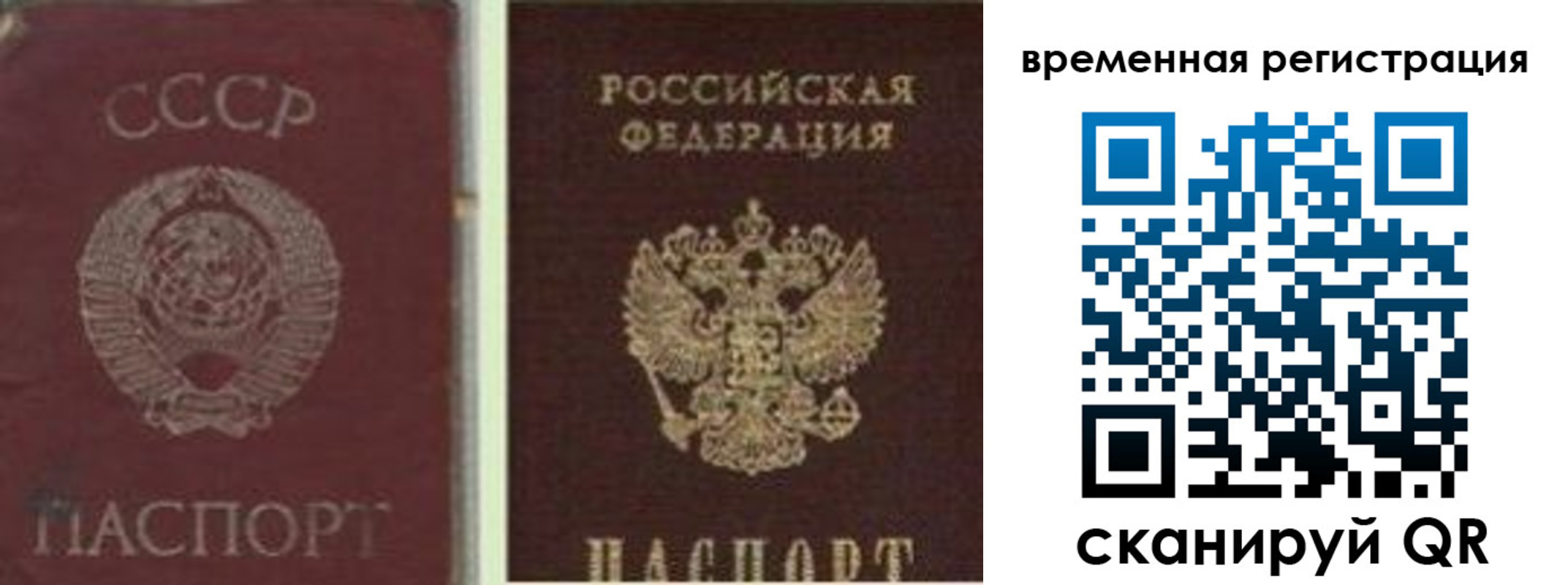 найти адрес прописки в Солнечногорске